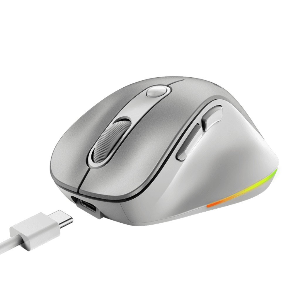 Mouse Genius I ERGO9000S-S