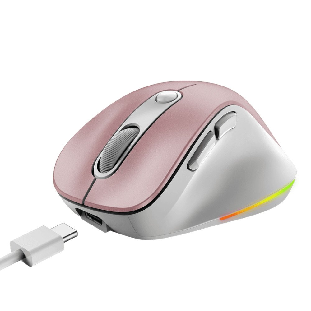 Mouse Genius I ERGO9000S-P